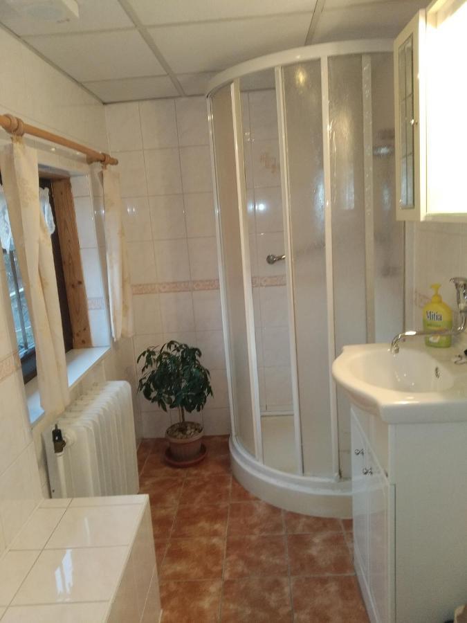 Ubytovani Riegel Svoboda nad Upou Room photo